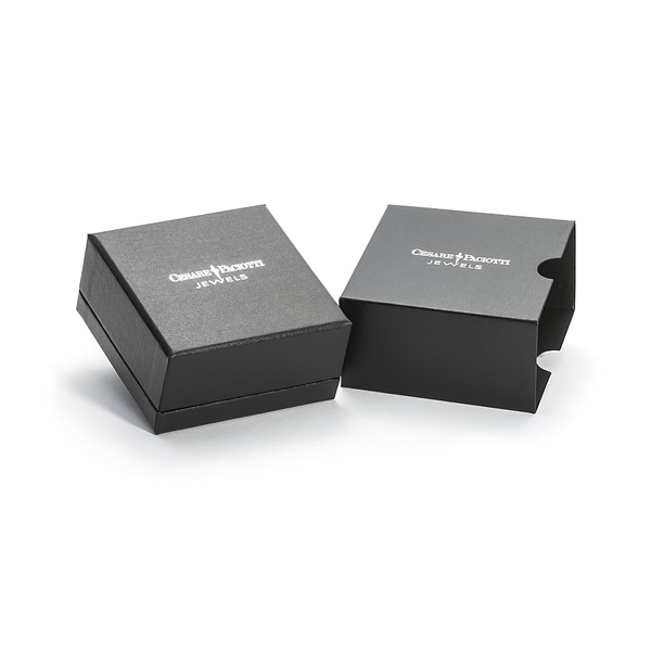 Orecchini Uomo in Argento Spadino Cesare Paciotti JPOR0082B  Cesare Paciotti   